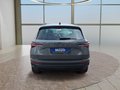 Daumennagel 4 - Skoda Karoq 1,5TSI DSG aAHK/ACC/Kamera/Winterp.
