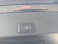 Daumennagel 18 - CUPRA Terramar 1.5 eTSI DSG ACC/Kessy/el.Klappe/Winterp. **