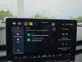 Daumennagel 39 - CUPRA Terramar 1.5 eTSI DSG ACC/Kessy/el.Klappe/Winterp. **