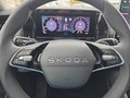 Daumennagel 22 - Skoda Kodiaq 2,0TSI DSG 4x4 aAHK/7-Sitzer/Matrix/Navi/el.Klappe   **