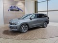 Daumennagel 1 - Skoda Kodiaq 2,0TSI DSG 4x4 aAHK/7-Sitzer/Matrix/Navi/el.Klappe   **