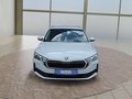 Daumennagel 8 - Skoda Octavia 1,5TSI DSG aAHK/Matrix/ACC/Kamera/el.Klappe   **