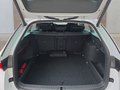 Daumennagel 16 - Skoda Octavia 1,5TSI DSG aAHK/Matrix/ACC/Kamera/el.Klappe **