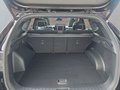 Daumennagel 17 - Hyundai TUCSON 1,6T HEV 4WD N Line X UPE=56000 Euro!        **
