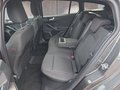 Daumennagel 16 - Ford Focus ST-Line X 1.0 155PS Aut. UPE=41700€