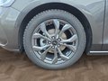 Daumennagel 17 - Ford Focus ST-Line X 1.0 155PS Aut. UPE=41700€