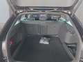 Daumennagel 17 - Skoda Octavia 2.0TSI RS 19*Alu/Pano/AHK/Navi/Matrix/ACC/el.Klappe  **