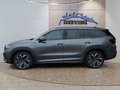 Daumennagel 2 - Skoda Kodiaq Sportline 2,0TSI DSG 4x4 aAHK/7-Sitzer/Pano/Matrix/Navi  **