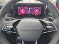 Daumennagel 23 - Skoda Kodiaq Sportline 2,0TSI DSG 4x4 aAHK/7-Sitzer/Pano/Matrix/Navi  **