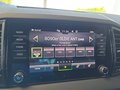 Daumennagel 26 - Skoda Karoq Sportline 1,5TSI DSG 4*J.Gar/aAHK/Matrix/Navi **