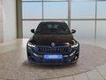 Daumennagel 8 - Skoda Karoq Sportline 1,5TSI DSG 4*J.Gar/aAHK/Matrix/Navi **