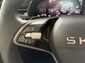 Daumennagel 20 - Skoda Kamiq Selection 1,0TSI DSG Kessy/Kamera/Temp/2-Z.Klimaaut. **