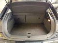 Daumennagel 27 - Audi A1 Sportback PDC|SHZ|MFL|