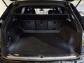 Daumennagel 41 - Audi SQ7 4.0 TDI quattro advanced|360 |STHZ|HUD|PANO|AHK|