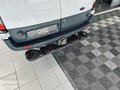 Daumennagel 21 - Ford Transit Kasten 350 L3 Trend Allrad|Standheizung|AHK|