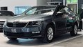 Daumennagel 3 - Skoda Octavia Ambition PDC|KLIMA|TEMP.