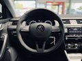 Daumennagel 14 - Skoda Octavia Ambition PDC|KLIMA|TEMP.