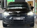 Daumennagel 2 - Skoda Karoq Sportline 4x4 CANTON|4xSHZ+LK|NAVI|VIRTUAL|DCC|TEMPOMAT