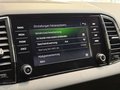 Daumennagel 29 - Skoda Karoq Sportline 4x4 CANTON|4xSHZ+LK|NAVI|VIRTUAL|DCC|TEMPOMAT