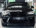 Daumennagel 2 - BMW X4 M Competition Shadow |HUD|H&K|LED|ACC|NAVI|SHZ