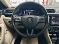 Daumennagel 15 - Skoda Superb Combi L&K 4x4 STHZ|PANO|ACC|AHK|SHZ|