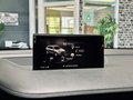 Daumennagel 49 - Audi SQ7 4.0 TDI quattro |Pano|ACC|Carbon|AHK|HUD|BOSE|