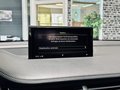 Daumennagel 52 - Audi SQ7 4.0 TDI quattro |Pano|ACC|Carbon|AHK|HUD|BOSE|