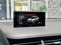Daumennagel 54 - Audi SQ7 4.0 TDI quattro |Pano|ACC|Carbon|AHK|HUD|BOSE|