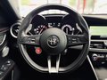 Daumennagel 16 - Alfa Romeo Giulia Quadrifoglio |H&K|Kamera|1.HAND|