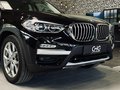 Daumennagel 8 - BMW X3 xDrive 25 d xLine |Apple CarPlay|Spur|1.HAND|