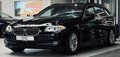 Daumennagel 3 - BMW 525d NAVI|HiFi|SHZ|Bi-XENON|PDC|TEMP|M-FAHRWERK