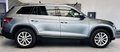 Daumennagel 4 - Skoda Kodiaq Style 4x4 |Kamera|AHK|CarPlay|ACC|LED|TOTW|