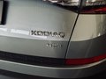 Daumennagel 11 - Skoda Kodiaq Style 4x4 |Kamera|AHK|CarPlay|ACC|LED|TOTW|