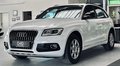 Daumennagel 3 - Audi Q5 2.0 TDI clean ultra 2.HD|PANO|AHK|SHZ|PDC|TEMP.|