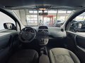 Daumennagel 15 - Renault Kangoo Happy Family TÜV NEU
