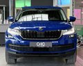Daumennagel 2 - Skoda Kodiaq Style 2.0 TDI AHK|ACC|SHZ|NAVI|PDC|CARPLAY|