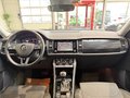 Daumennagel 13 - Skoda Kodiaq Style 2.0 TDI AHK|ACC|SHZ|NAVI|PDC|CARPLAY|