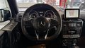 Daumennagel 14 - Mercedes-Benz G 63 AMG |H&K|Kamera|Raute|AHK|