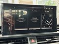 Daumennagel 44 - Audi S4 Avant 3.0 TDI quattro |HUD|AHK|Carbon|RS-Sitze|