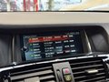 Daumennagel 28 - BMW X3 xDrive 20d xLine PANO|STHZ|HUD|360 |VOLL