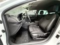 Daumennagel 13 - Opel Insignia B Sports Tourer AHK|MATRX|KMRA|SHZ|CARPL.