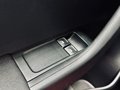 Daumennagel 15 - Skoda Fabia Monte Carlo |PANO|PDC|TEMP.|SHZ|ACC|