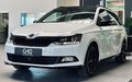 Daumennagel 3 - Skoda Fabia Monte Carlo |PANO|PDC|TEMP.|SHZ|ACC|