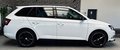 Daumennagel 4 - Skoda Fabia Monte Carlo |PANO|PDC|TEMP.|SHZ|ACC|