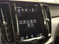 Daumennagel 27 - Volvo XC60 B4 Momentum Pro AWD XENIUM Mild-Hybrid