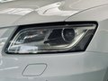 Daumennagel 4 - Audi Q5 2.0 TDI quattro 2.HD|NAVI|SHZ|PDC|MFL|Bi-XENON