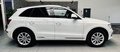 Daumennagel 3 - Audi Q5 2.0 TDI quattro 2.HD|NAVI|SHZ|PDC|MFL|Bi-XENON