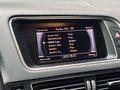 Daumennagel 29 - Audi Q5 2.0 TDI quattro 2.HD|NAVI|SHZ|PDC|MFL|Bi-XENON