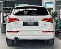 Daumennagel 7 - Audi Q5 2.0 TDI quattro 2.HD|NAVI|SHZ|PDC|MFL|Bi-XENON