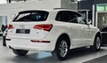 Daumennagel 8 - Audi Q5 2.0 TDI quattro 2.HD|NAVI|SHZ|PDC|MFL|Bi-XENON